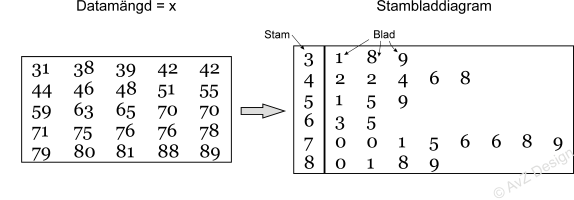 Stambladdiagram1